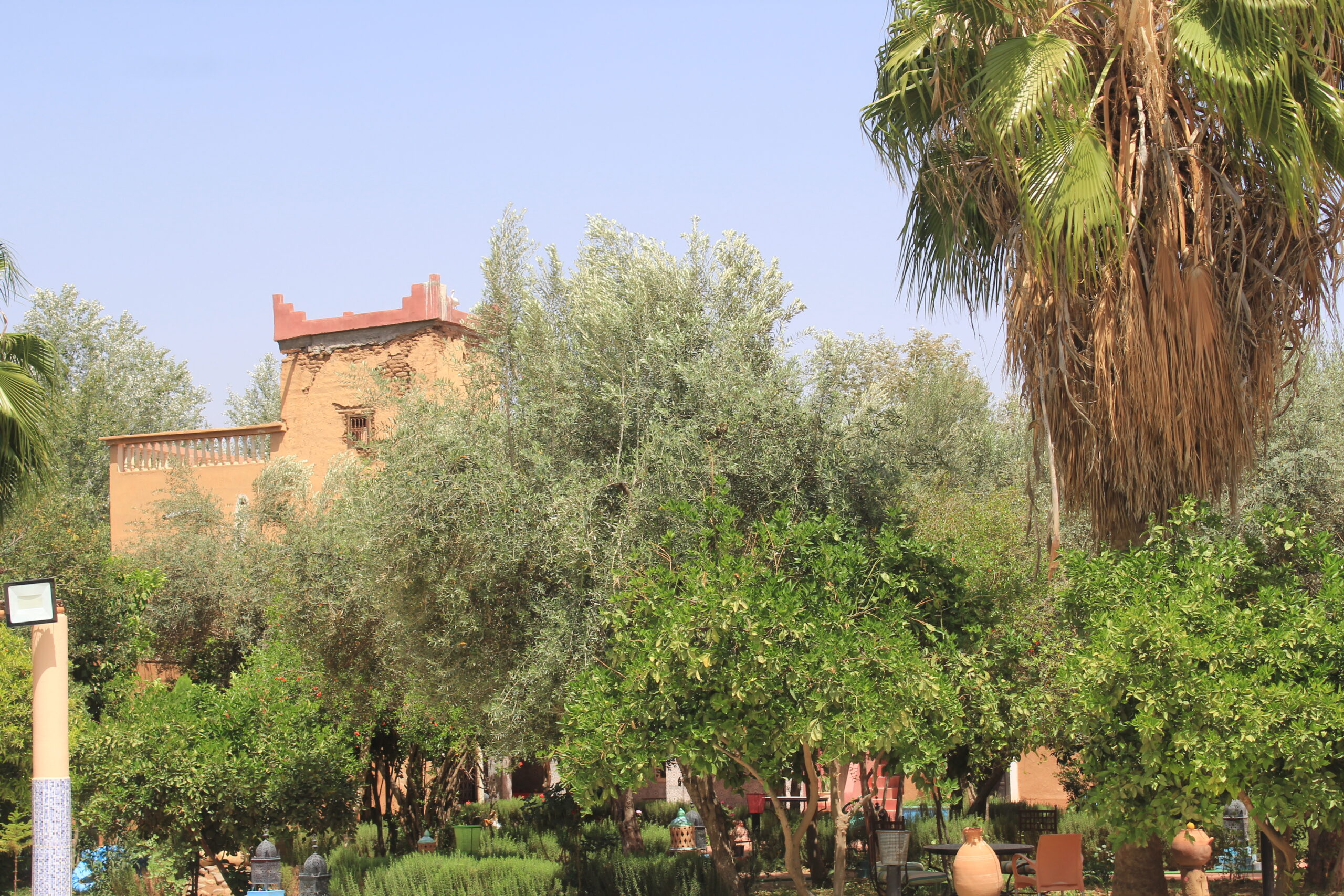 peaceful riad with amazing nature