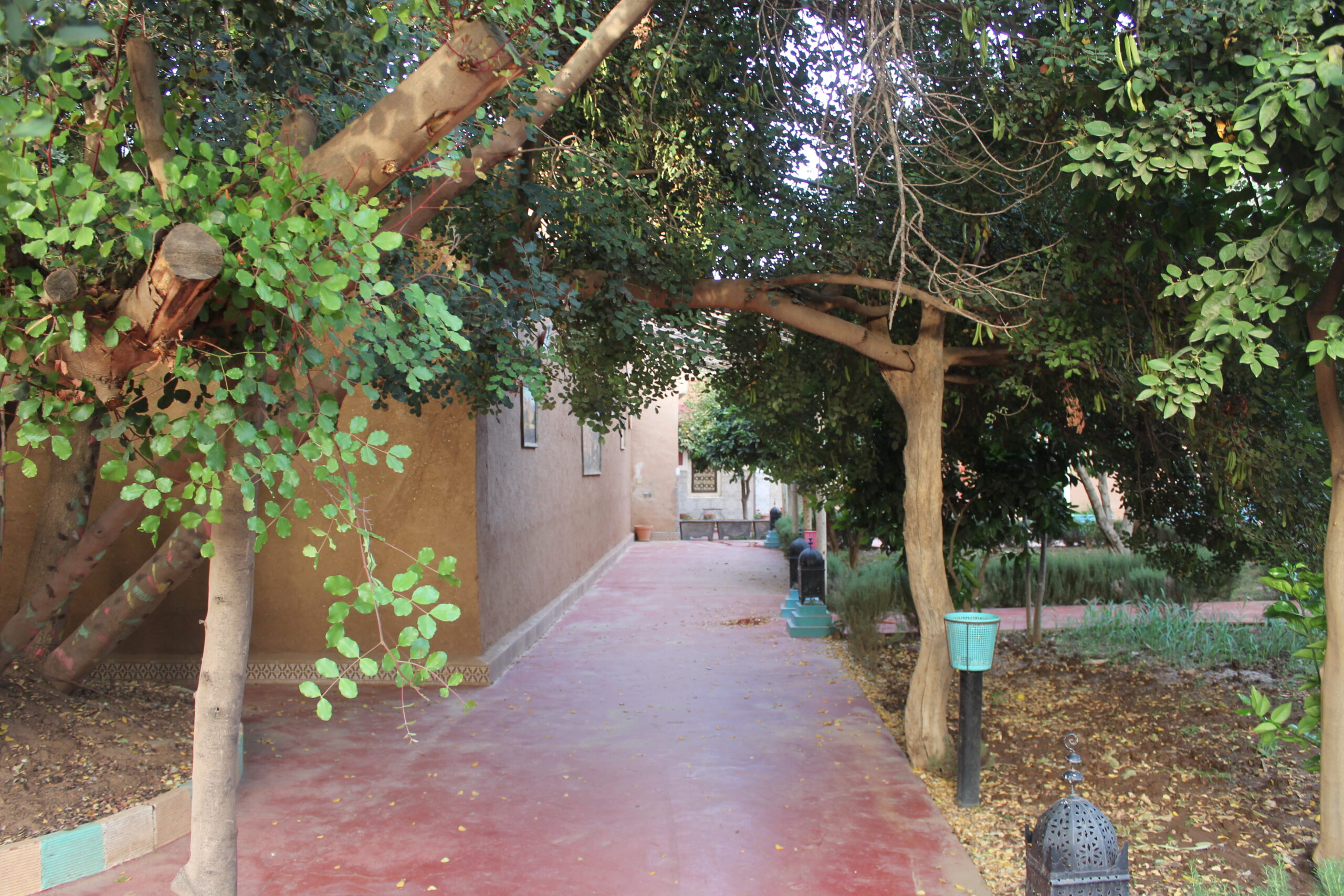 typical riad with amazing garden