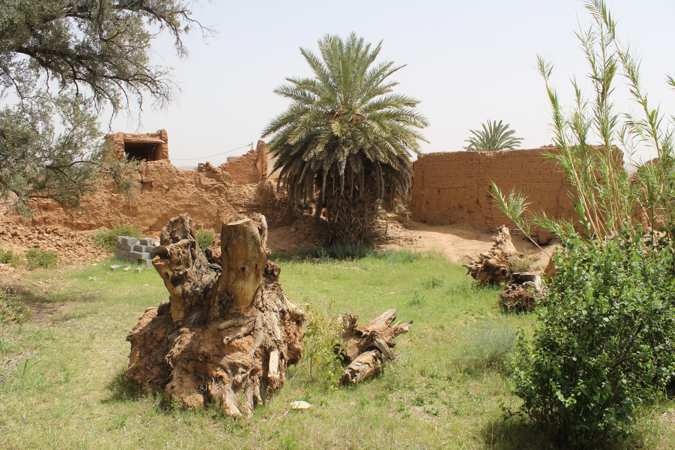 riad with beautiful surrounding