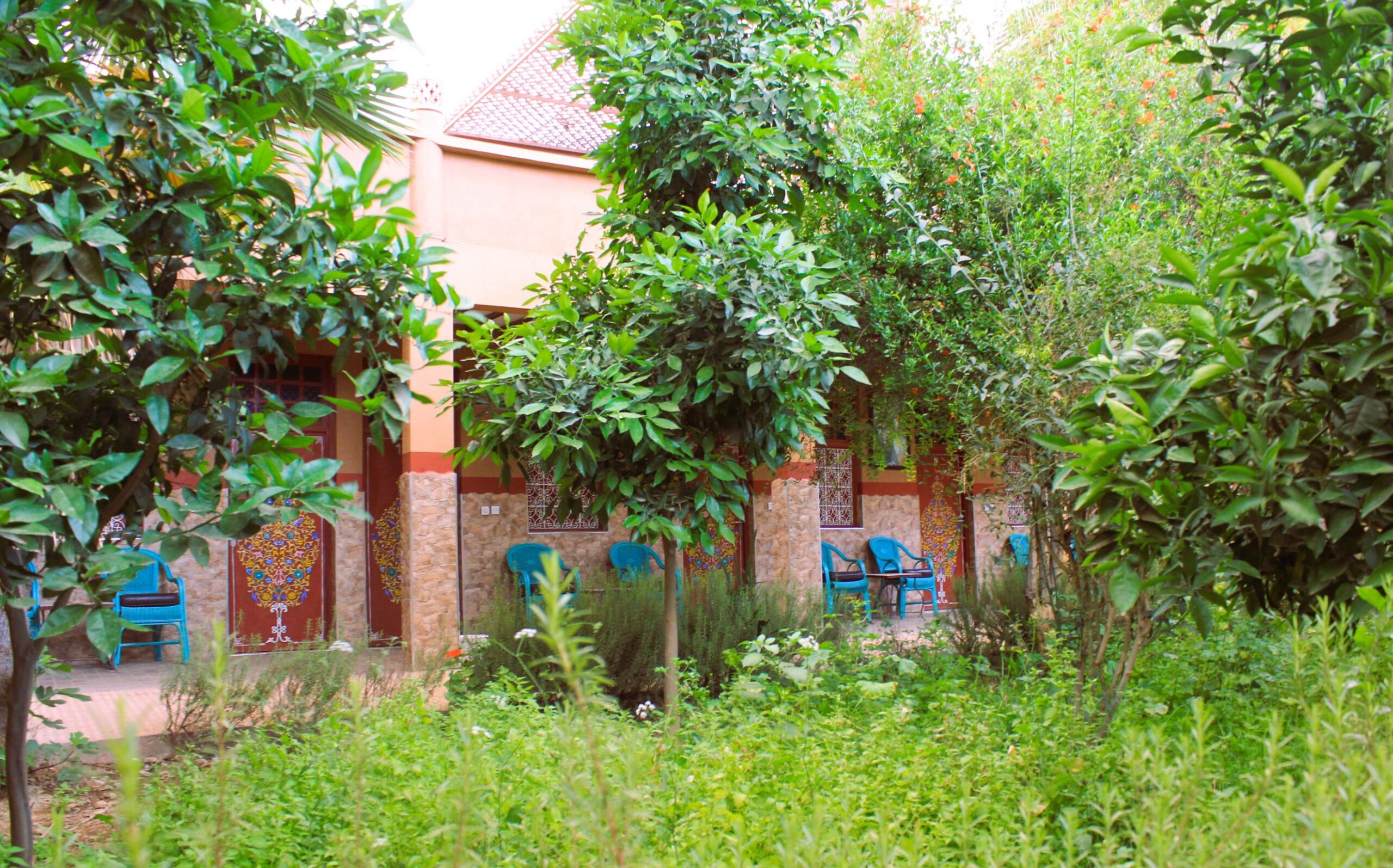 riad with green spaces